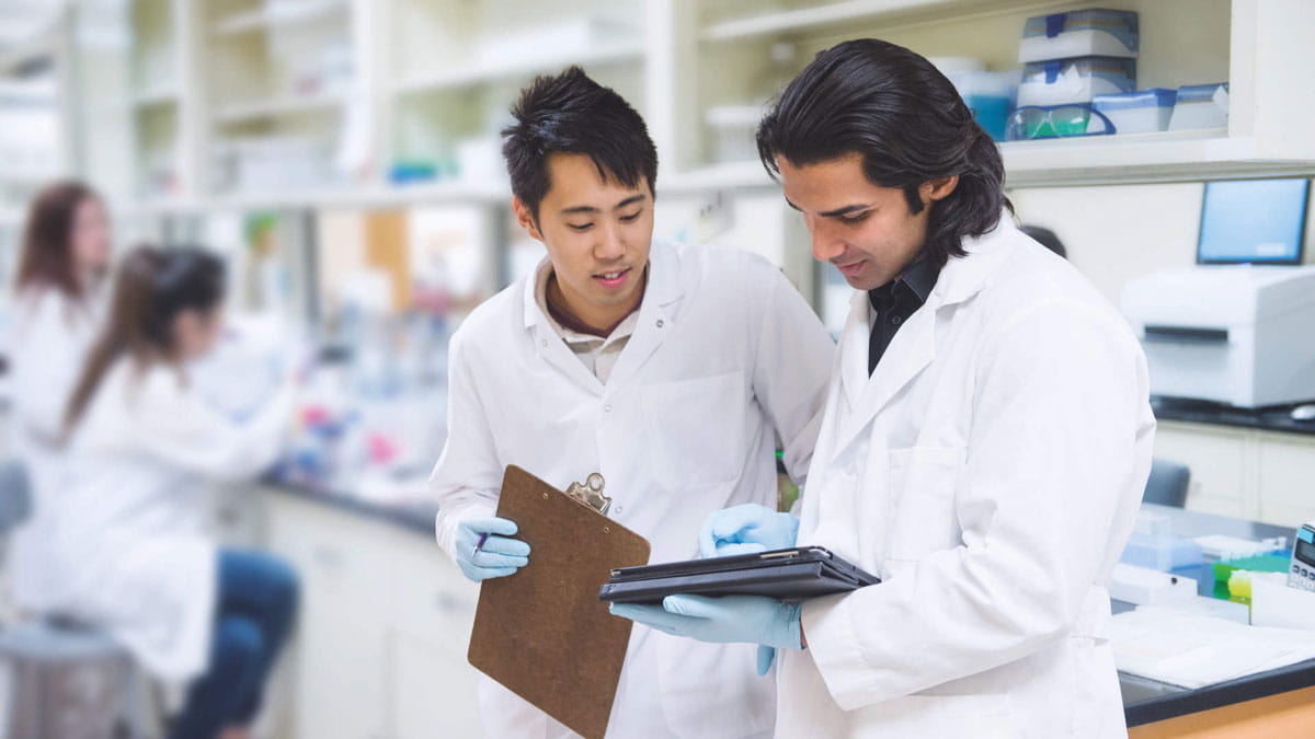 two male Scientists working in laboratory, discussing results on a tablet, other scientists working in the background on a bench